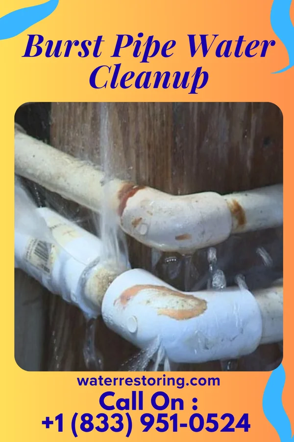 Burst Pipe Water Cleanup in Finesville, NJ