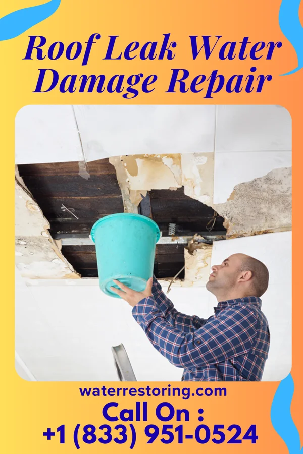 Roof Leak Water Damage Repair in Finesville, NJ