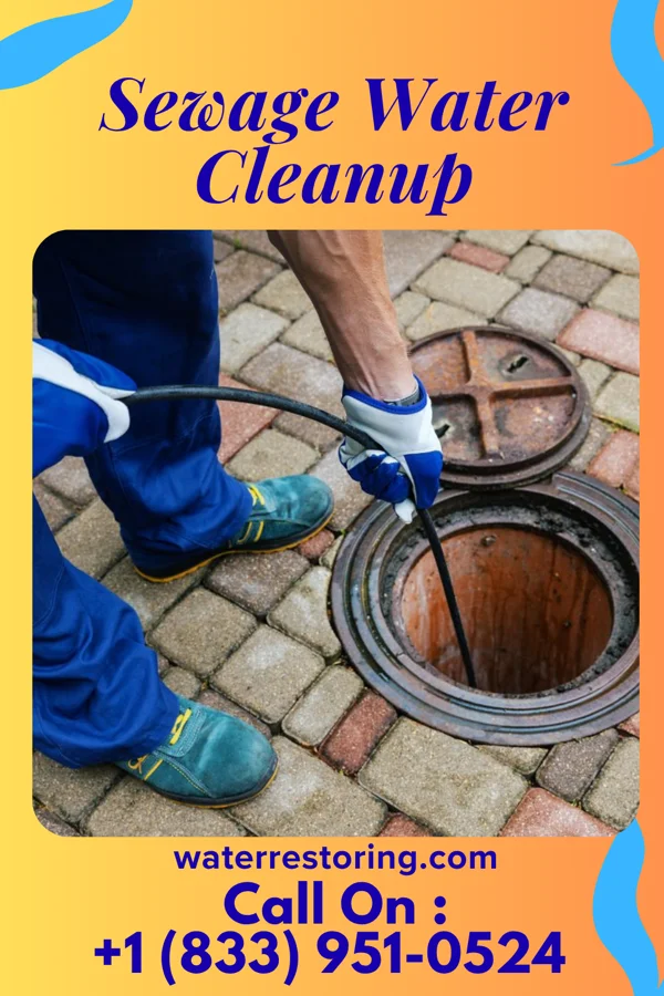 Sewage Water Cleanup in Finesville, NJ