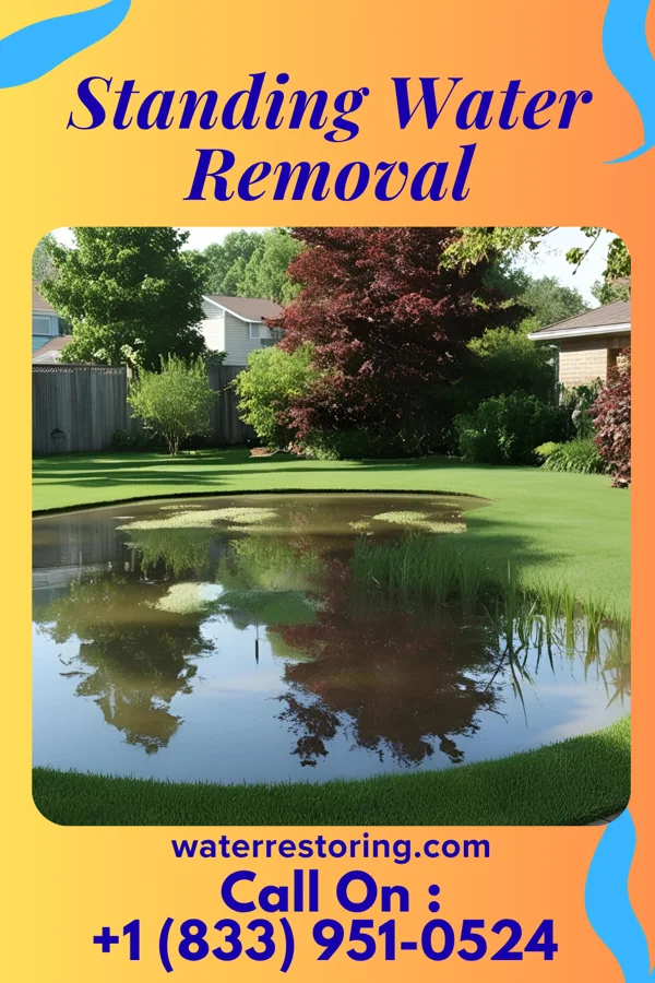 Standing Water Removal in Finesville, NJ